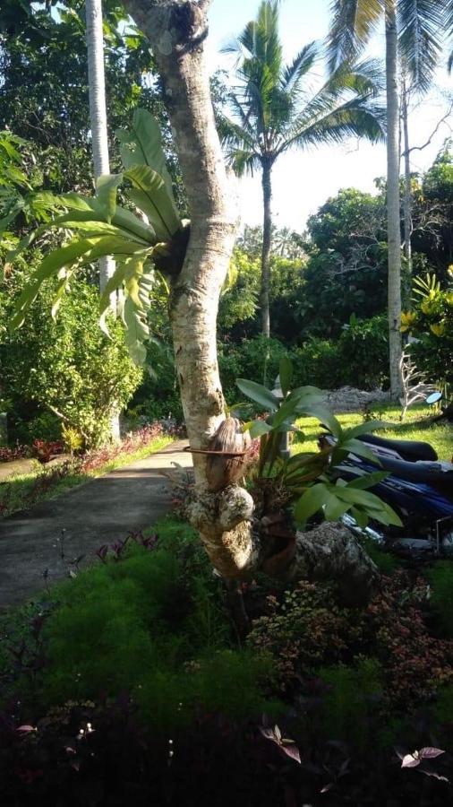 Balian Bliss Retreat Resort - Adults Only 외부 사진