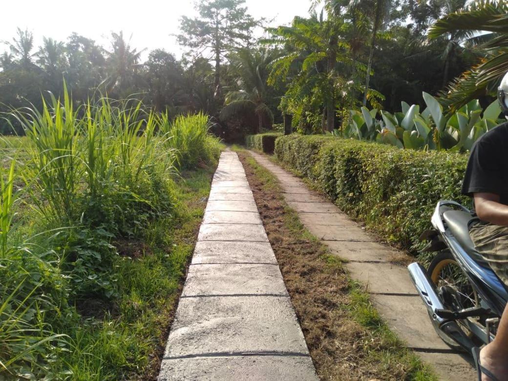 Balian Bliss Retreat Resort - Adults Only 외부 사진
