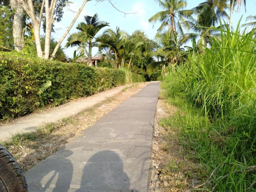 Balian Bliss Retreat Resort - Adults Only 외부 사진