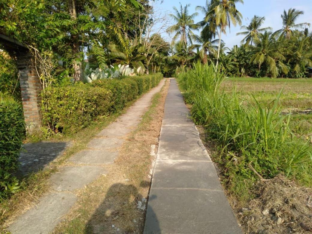 Balian Bliss Retreat Resort - Adults Only 외부 사진